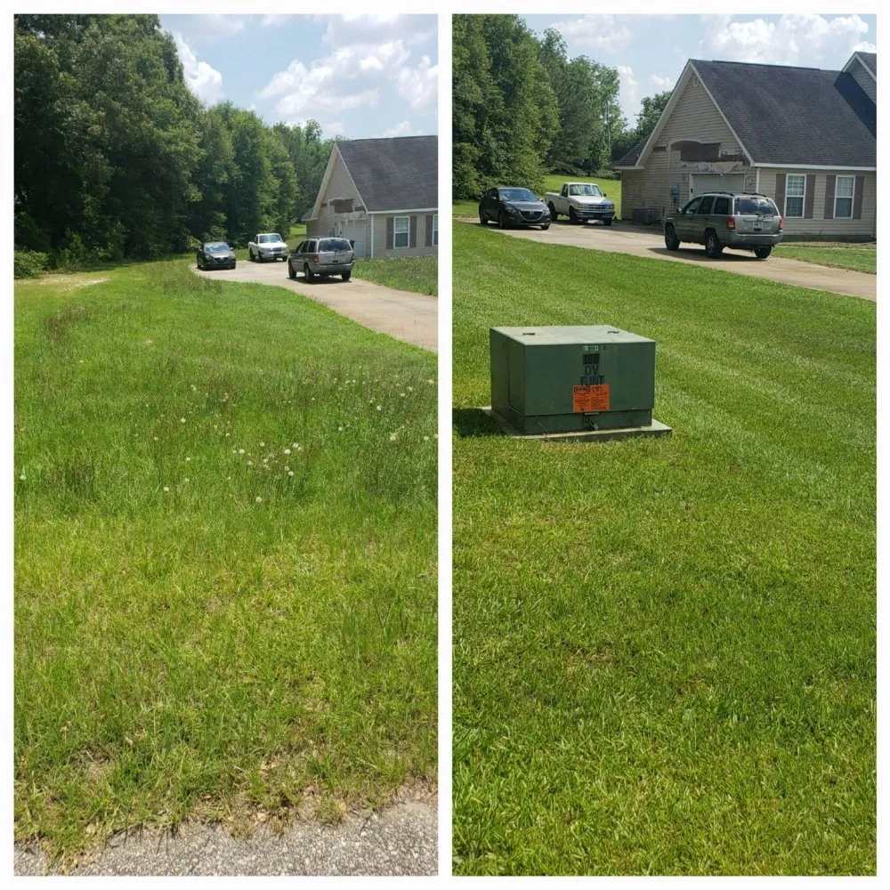 Expert garden landscaping for residential properties in Macon, GA by Rods Freight Towing and Landscaping