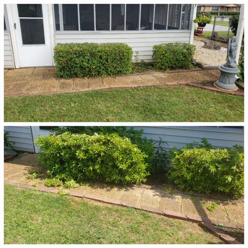 Professional yard maintenance near you across Macon, GA - Rods Freight Towing and Landscaping