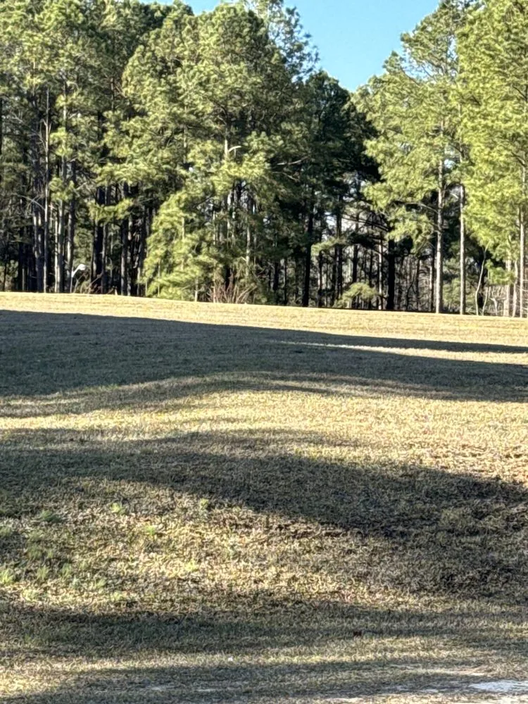 Expert outdoor landscaping for homes across Sanford, NC - Rods Lawn Care