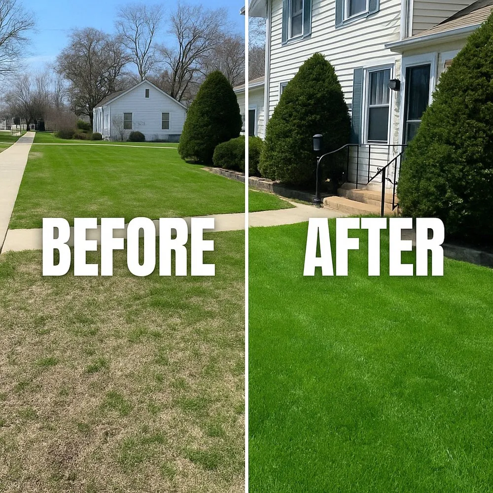 Reliable yard cleanup service in Yorkville, IL - Rods Lawn Services