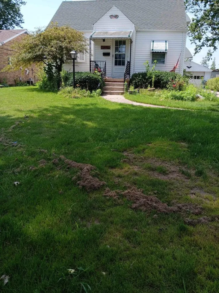 Expert landscaping services for outdoor upgrades across Toledo, OH - Rod's Unique Lawn