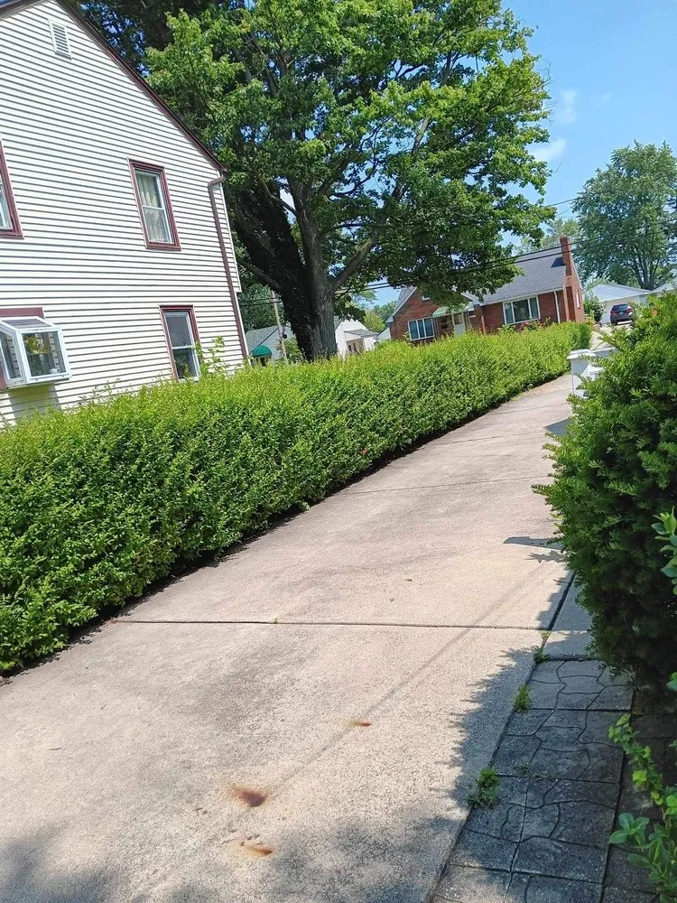 Affordable yard maintenance experts serving Toledo, OH - Rod's Unique Lawn