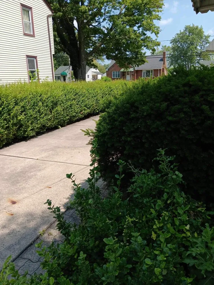 Custom landscaping services experts serving Toledo, OH - Rod's Unique Lawn