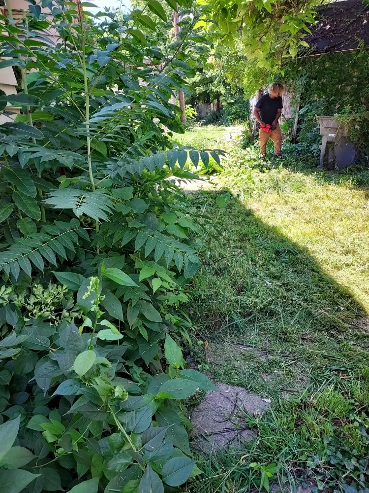 Expert garden landscaping in Toledo, OH by Rod's Unique Lawn