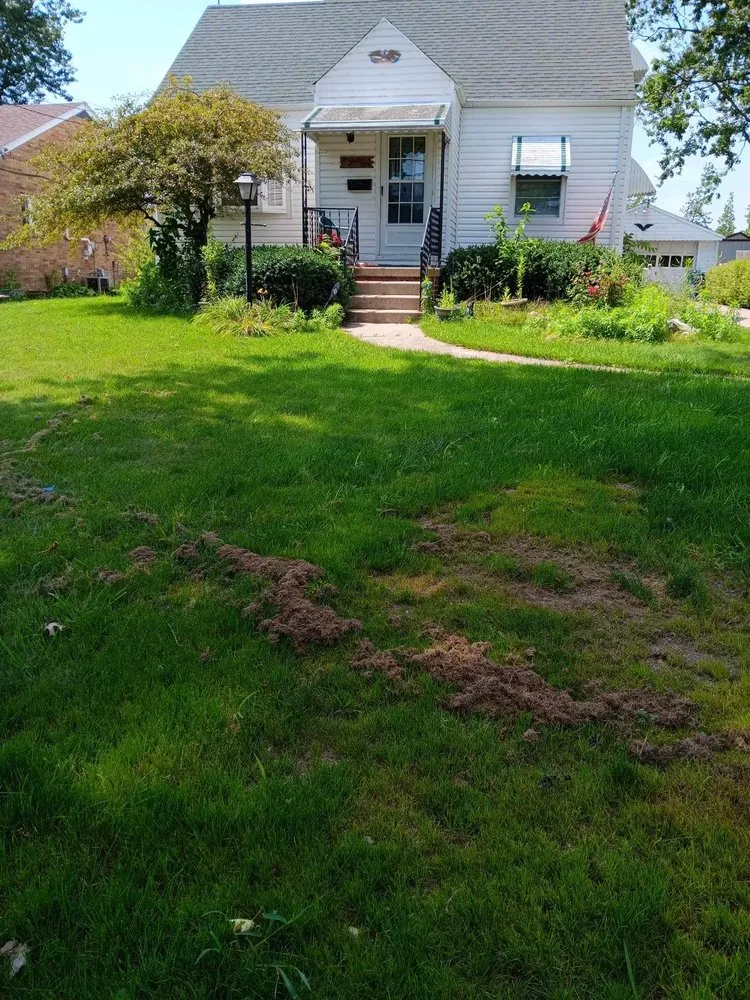 Affordable residential landscaping experts serving Toledo, OH - Rod's Unique Lawn