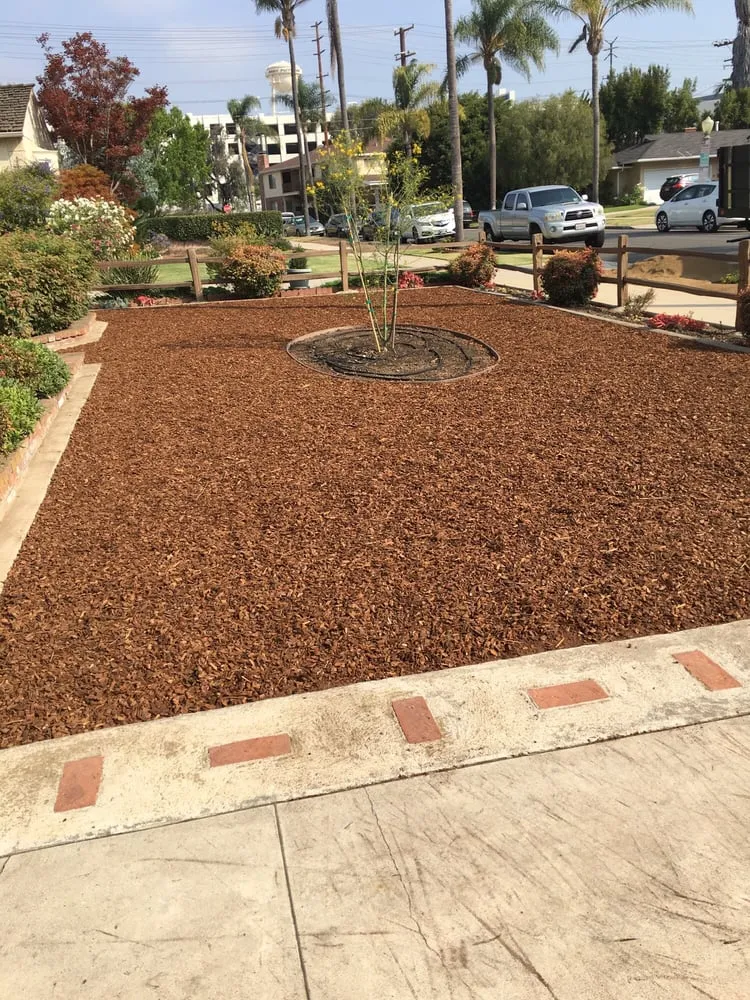 Reliable landscaping services in Los Angeles, CA by Rodscape