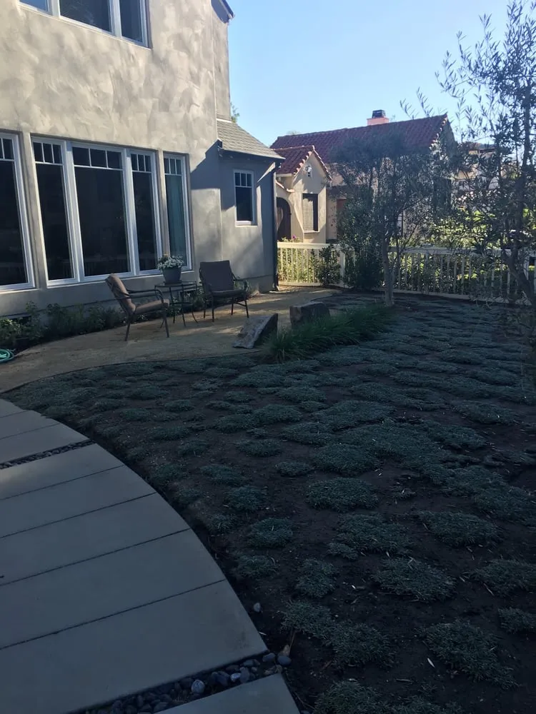 Expert lawn care service with custom design in Los Angeles, CA by Rodscape