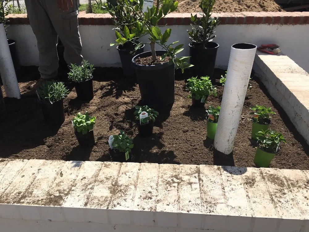 Expert lawn care service near you in Los Angeles, CA by Rodscape