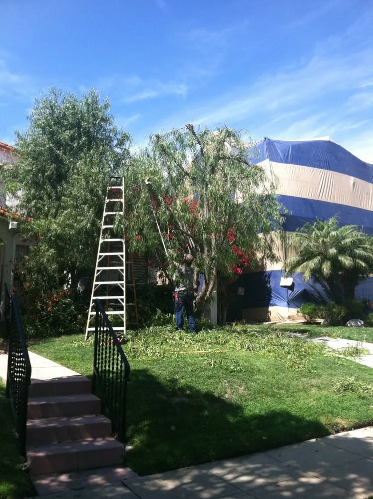 Affordable landscaping services in Los Angeles, CA - Rodscape