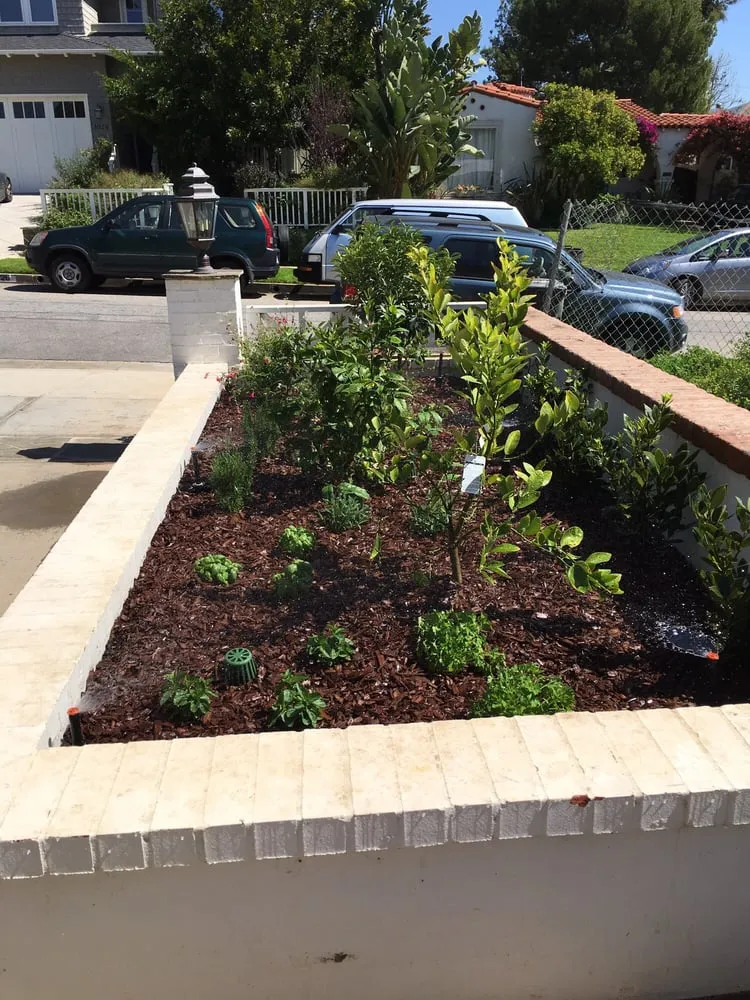 Professional lawn mowing service for year-round maintenance in Los Angeles, CA by Rodscape