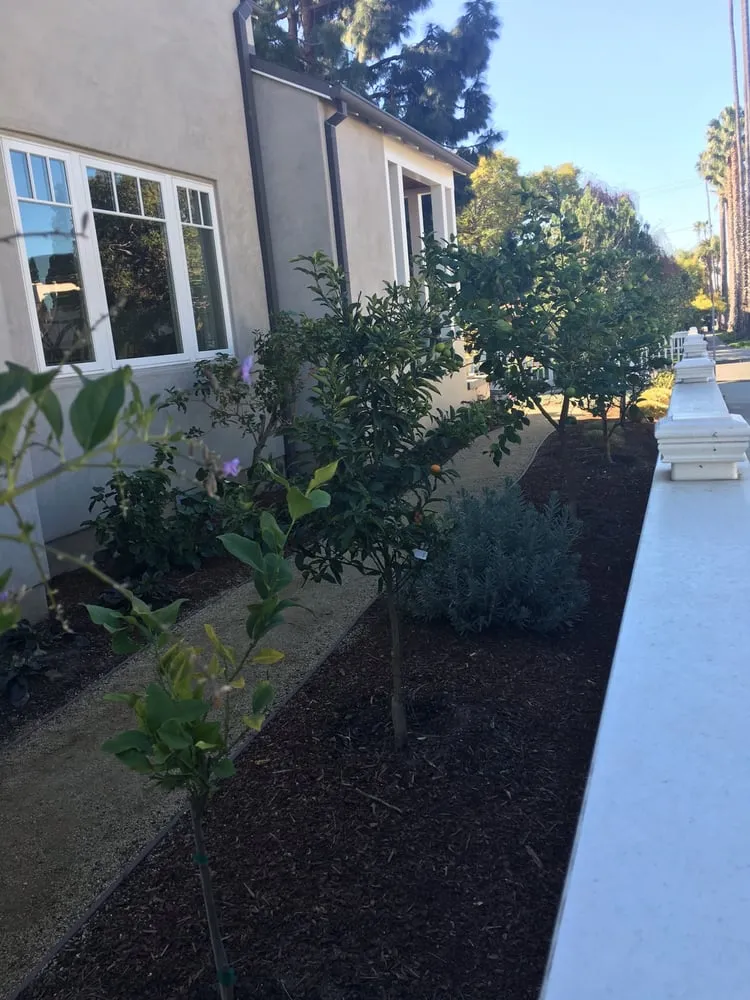 Expert outdoor landscaping for residential properties across Los Angeles, CA - Rodscape
