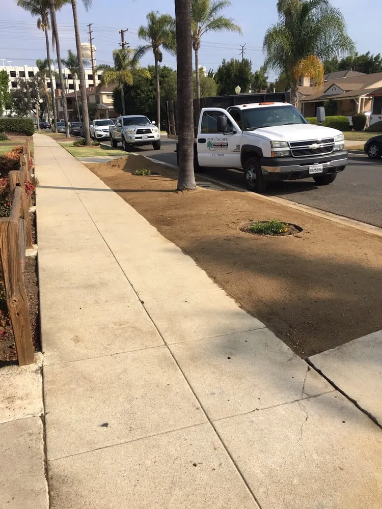 Local landscape design in Los Angeles, CA by Rodscape