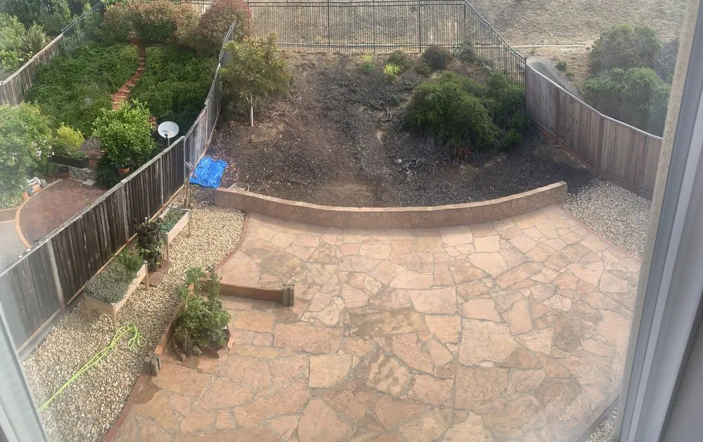 Professional yard maintenance in San Francisco, CA by Rodscape