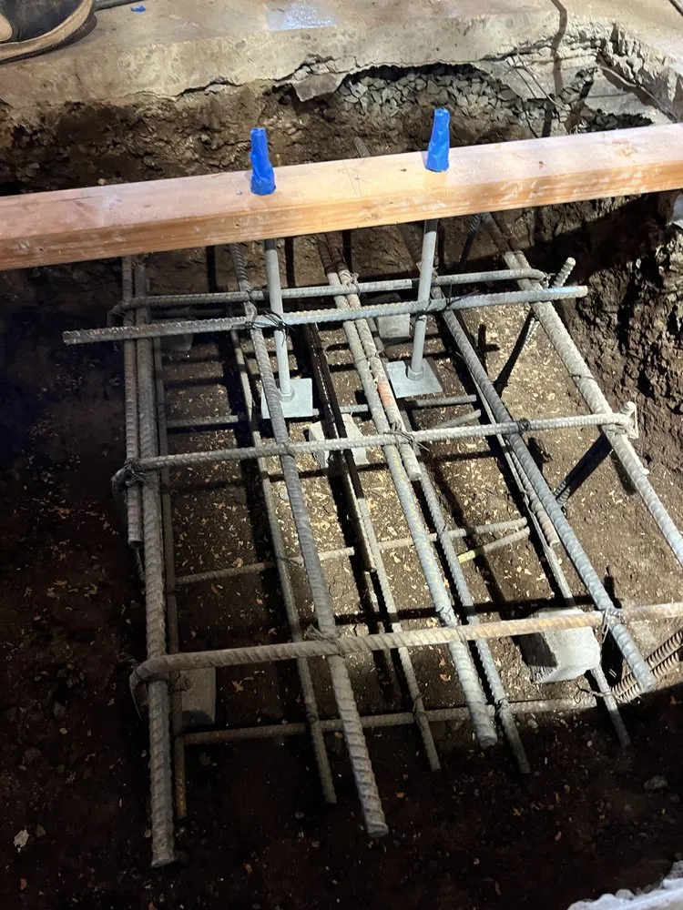 Top-rated yard maintenance for year-round maintenance in San Francisco, CA by Rodscape