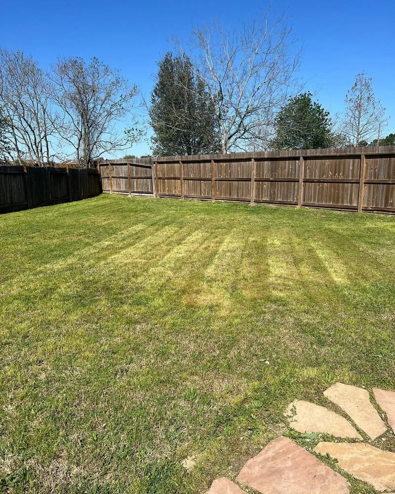 Top-rated landscape design experts serving Katy, TX - Rodvok’s Stop Shop