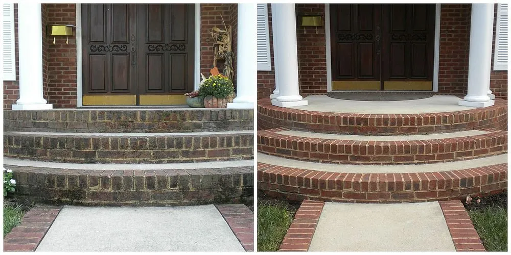 Expert yard cleanup service in Baltimore, MD by Roe & Sons Powerwashing Landscaping