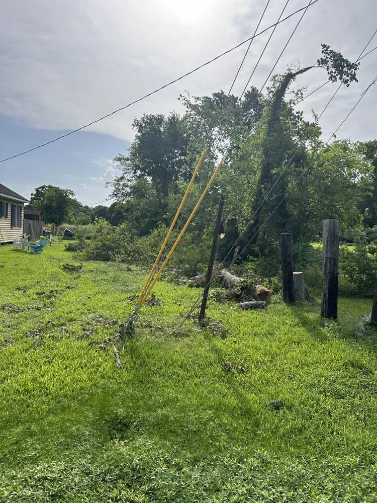 Custom landscape installation for year-round maintenance across Dayton, TX - Roe Lumberjack Services