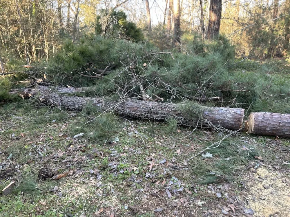 Top-rated landscaping services for beautiful yards across Dayton, TX - Roe Lumberjack Services