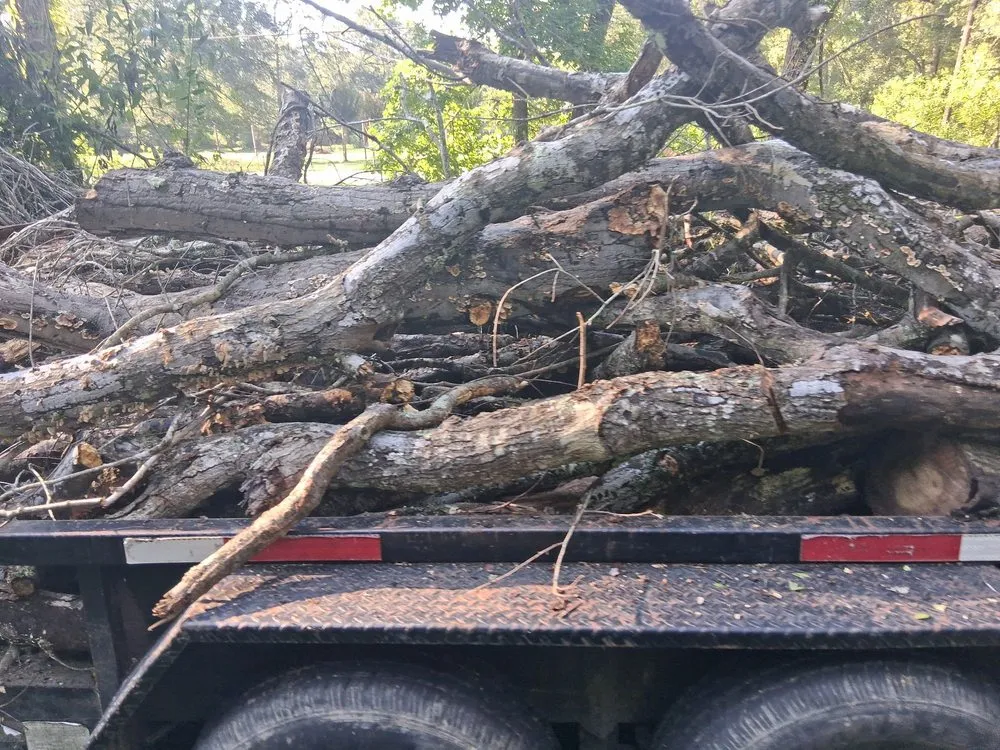 Trusted lawn mowing service in Dayton, TX - Roe Lumberjack Services