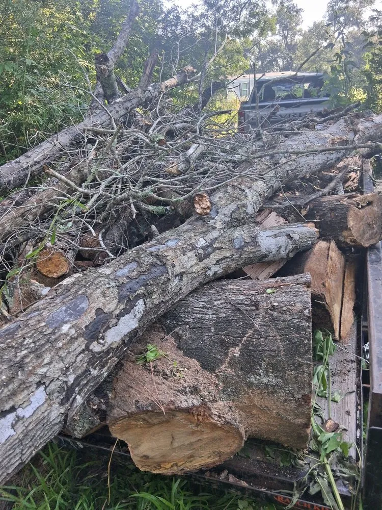 Trusted yard cleanup service experts serving Dayton, TX - Roe Lumberjack Services