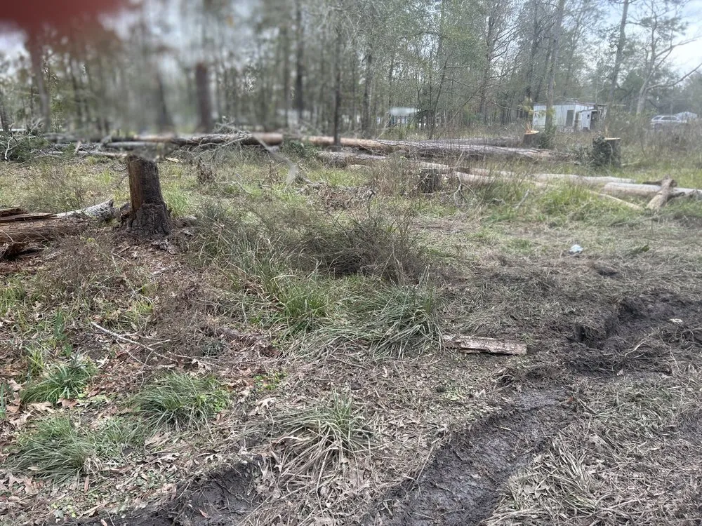 Trusted landscape installation for beautiful yards across Dayton, TX - Roe Lumberjack Services