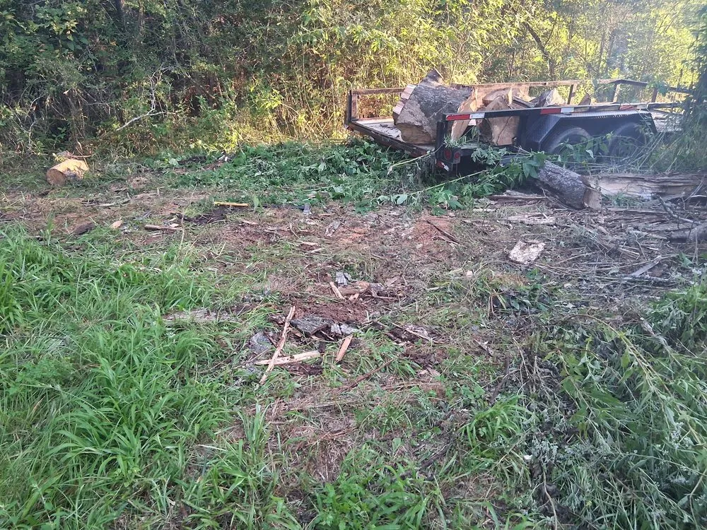 Expert landscape installation for beautiful yards in Dayton, TX by Roe Lumberjack Services