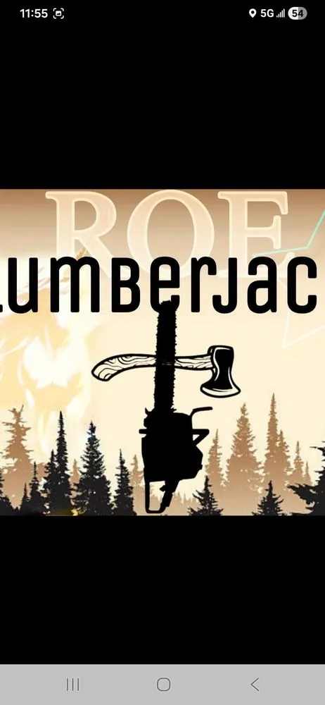 Custom lawn mowing service in Dayton, TX - Roe Lumberjack Services