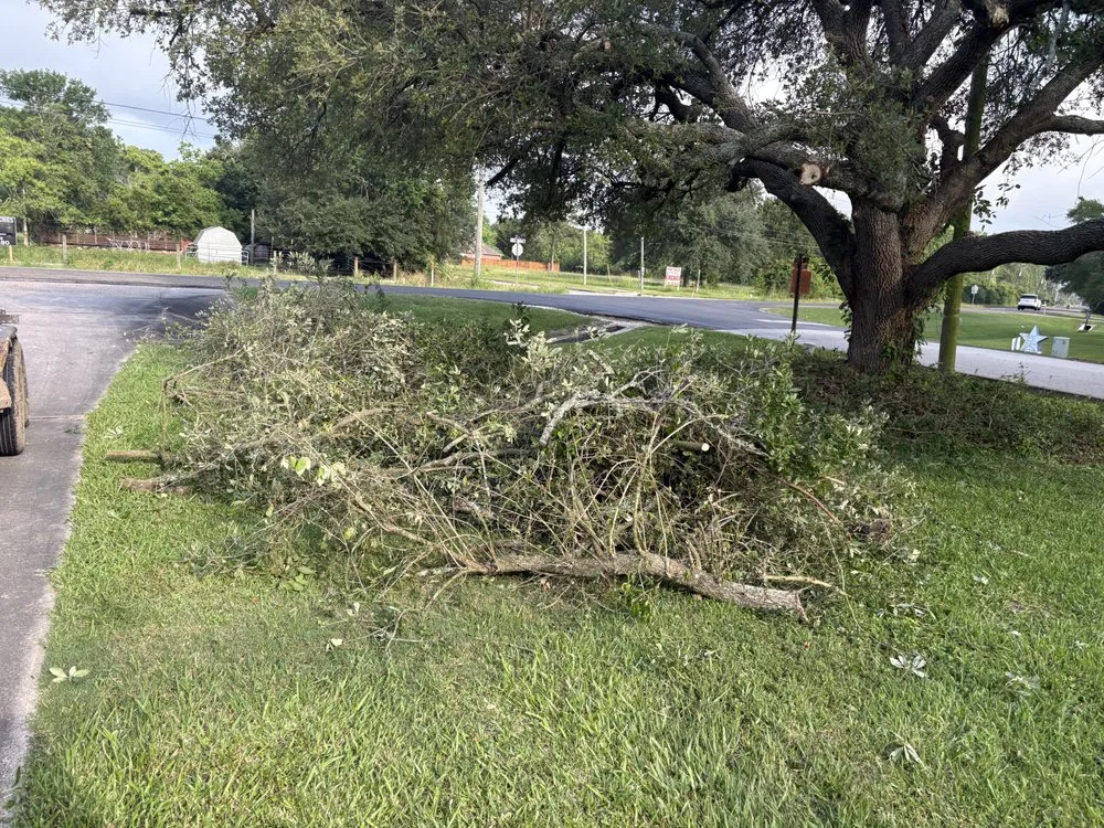 Affordable landscape installation experts serving Dayton, TX - Roe Lumberjack Services