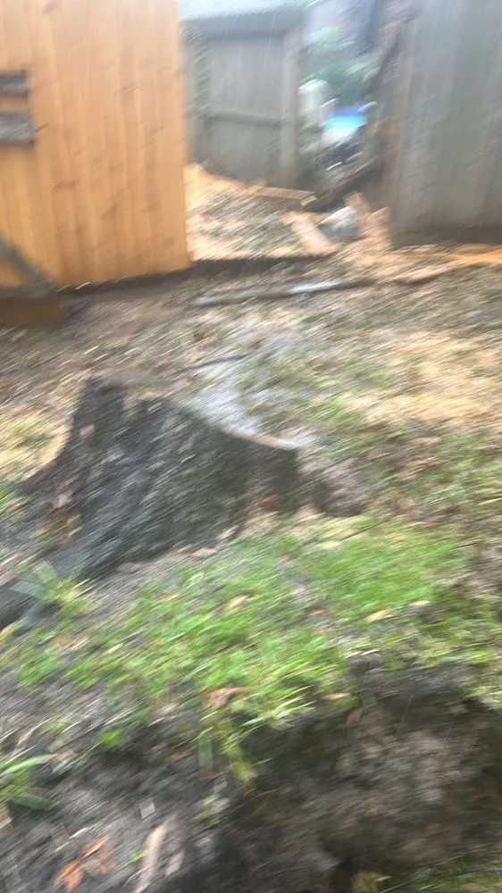 Custom lawn care service experts serving Dayton, TX - Roe Lumberjack Services