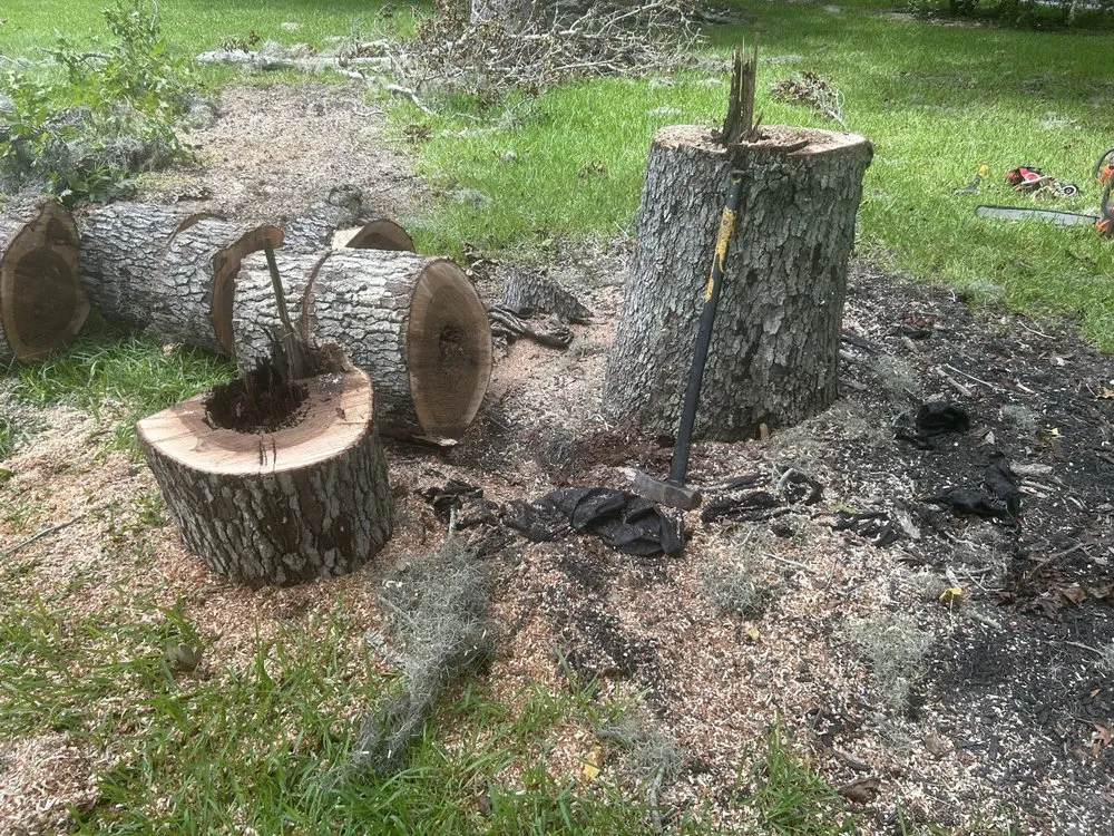 Local outdoor landscaping experts serving Dayton, TX - Roe Lumberjack Services