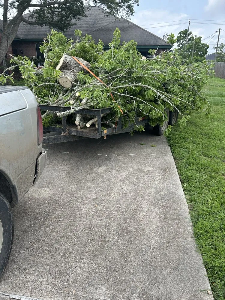 Affordable landscaping services for outdoor upgrades in Dayton, TX by Roe Lumberjack Services