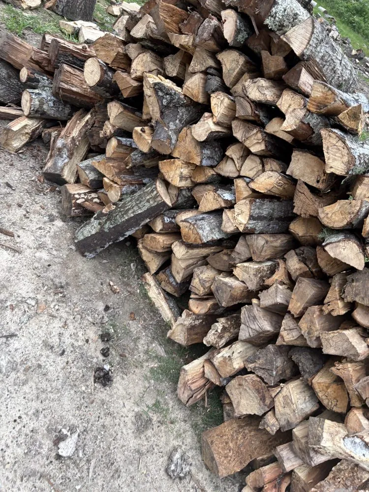 Custom yard cleanup service for outdoor upgrades in Dayton, TX by Roe Lumberjack Services