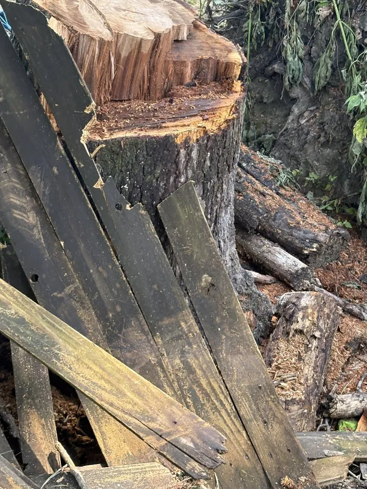 Custom landscape installation for beautiful yards in Dayton, TX by Roe Lumberjack Services