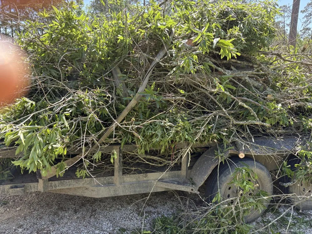 Professional landscaping services in Dayton, TX - Roe Lumberjack Services