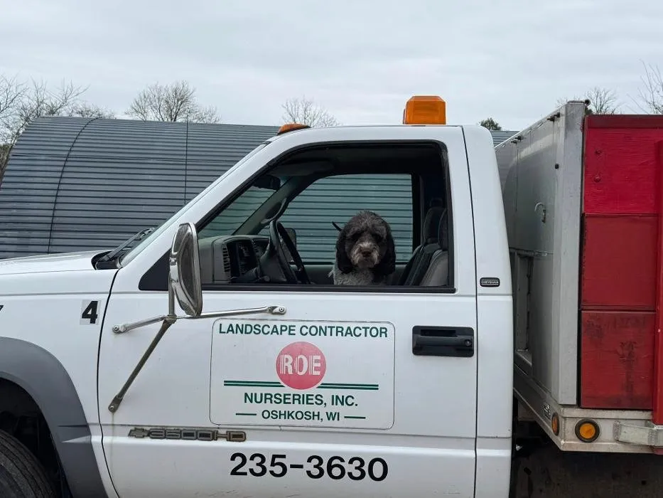 Custom yard cleanup service with custom design in Oshkosh, WI by Roe Nurseries