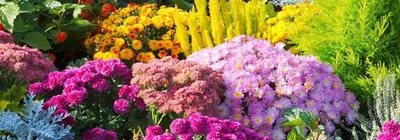 Top-rated residential landscaping for year-round maintenance across Oshkosh, WI - Roe Nurseries