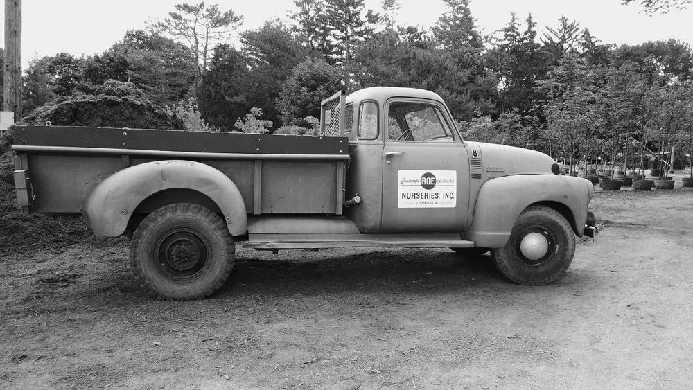 Reliable landscape design experts serving Oshkosh, WI - Roe Nurseries