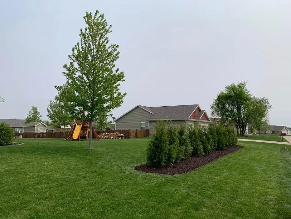 Top-rated residential landscaping experts serving Oshkosh, WI - Roe Nurseries