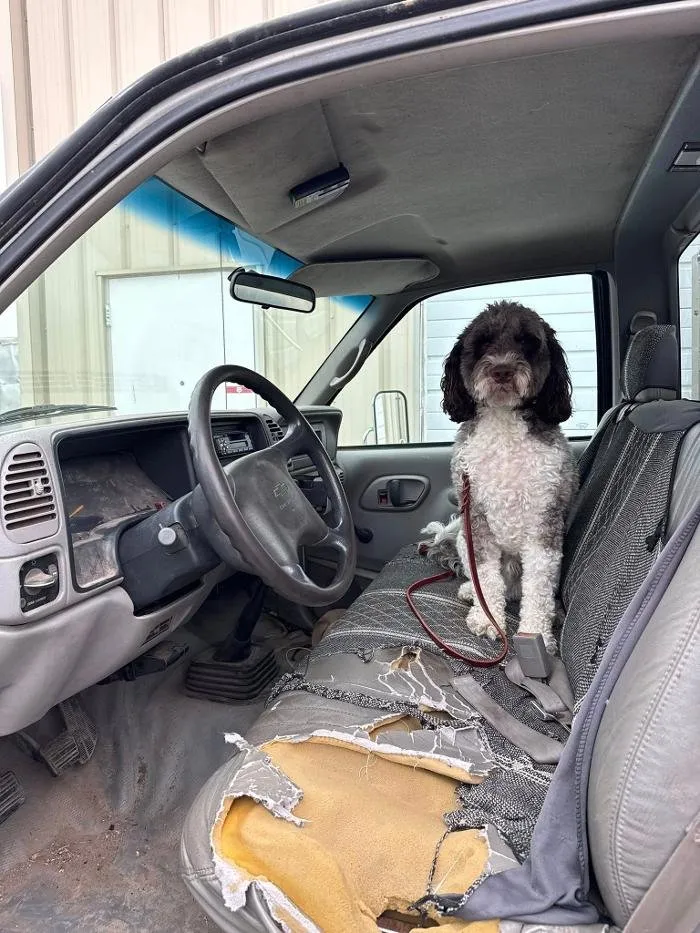 Custom landscape installation in Oshkosh, WI by Roe Nurseries