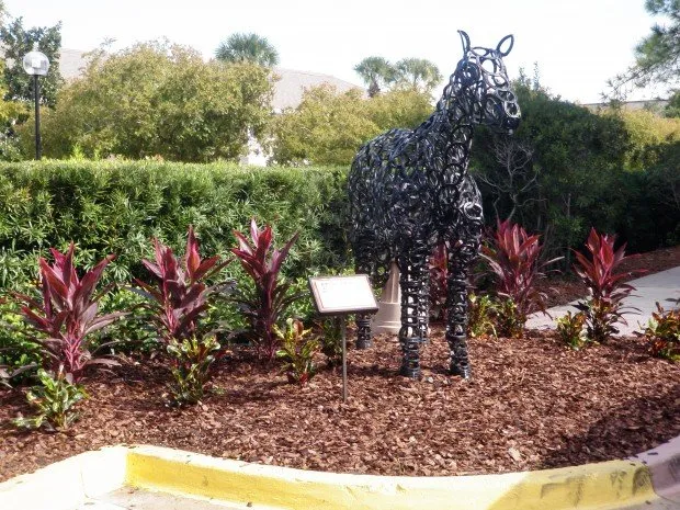 Local yard cleanup service in Apopka, FL - Roedell's Landscaping & Supply