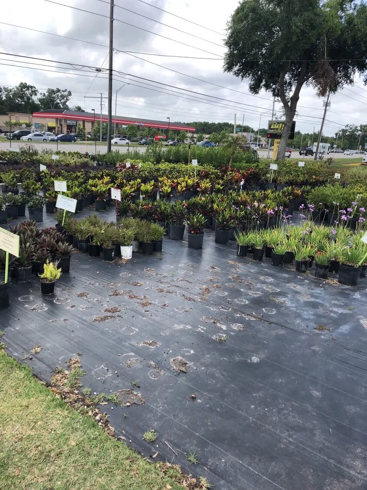 Reliable yard cleanup service in Apopka, FL - Roedell's Landscaping & Supply