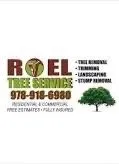 Affordable yard cleanup service experts serving Lynn, MA - Roel Tree Services