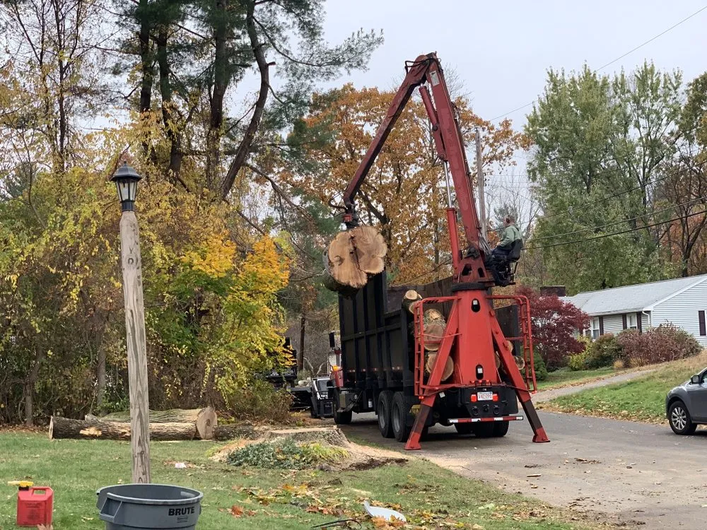 Top-rated outdoor landscaping in Lynn, MA - Roel Tree Services