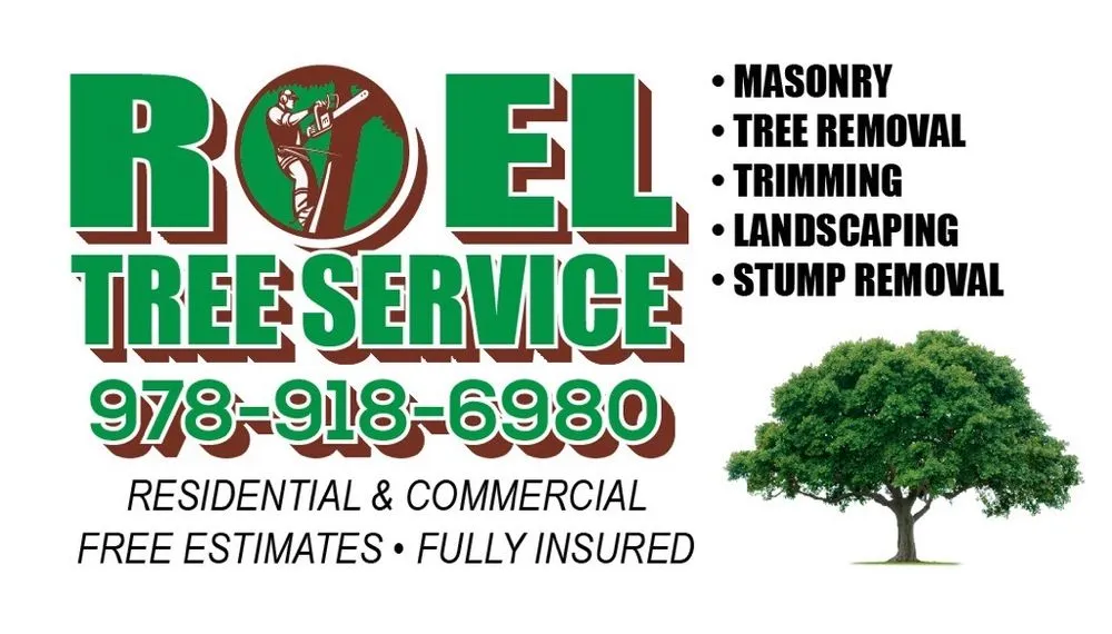 Top-rated yard cleanup service with custom design in Lynn, MA by Roel Tree Services