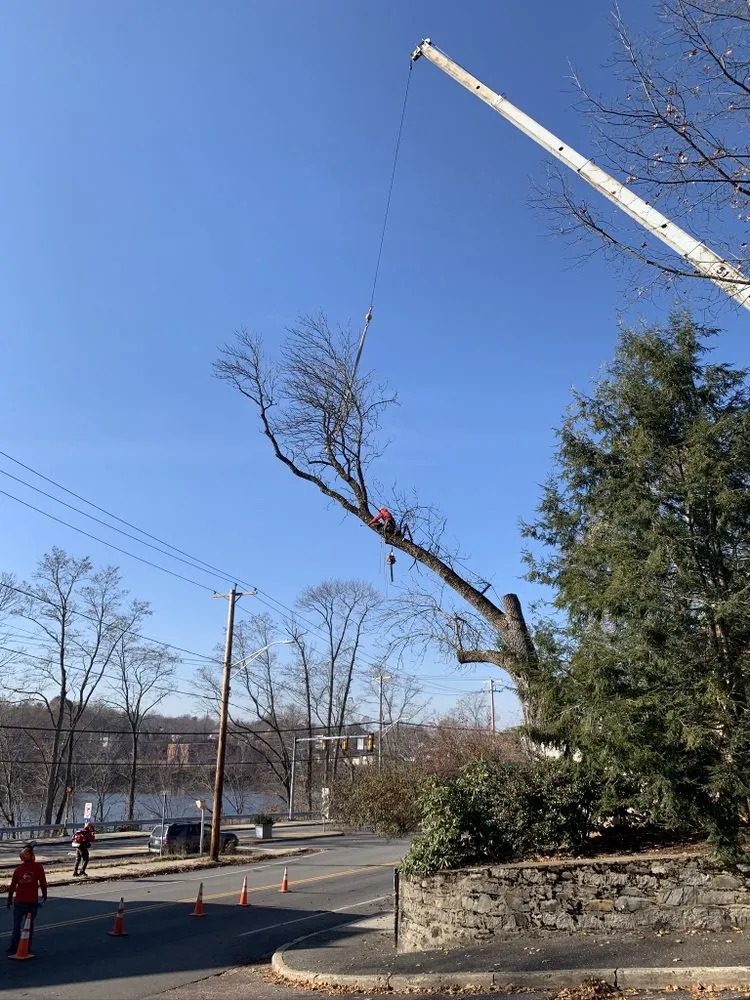 Expert garden landscaping in Lynn, MA by Roel Tree Services