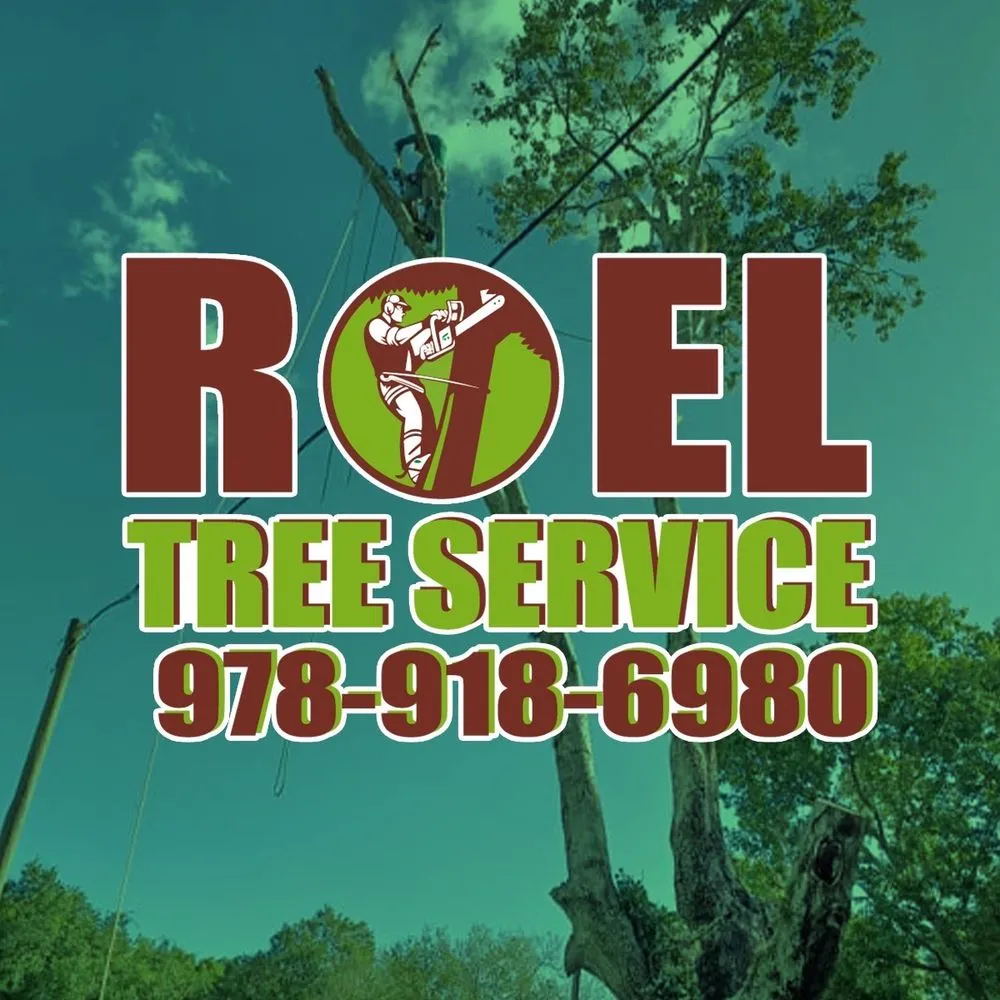 Reliable garden landscaping with custom design in Lynn, MA by Roel Tree Services