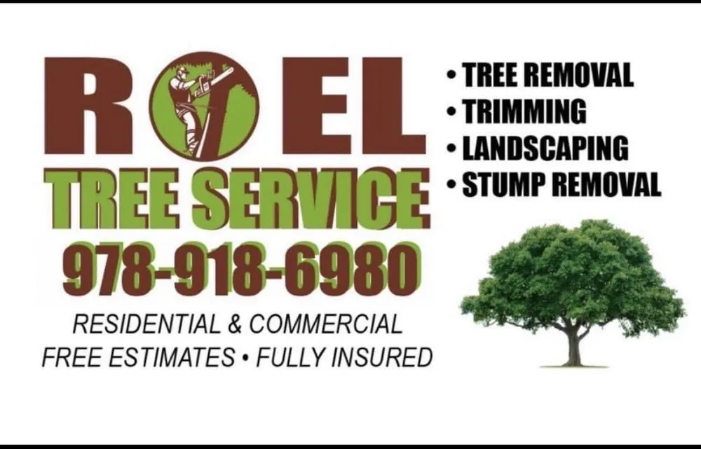 Affordable lawn mowing service in Lynn, MA - Roel Tree Services