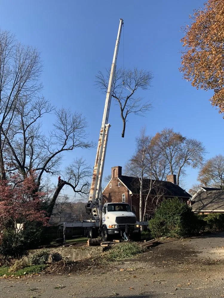 Custom residential landscaping in Lynn, MA - Roel Tree Services