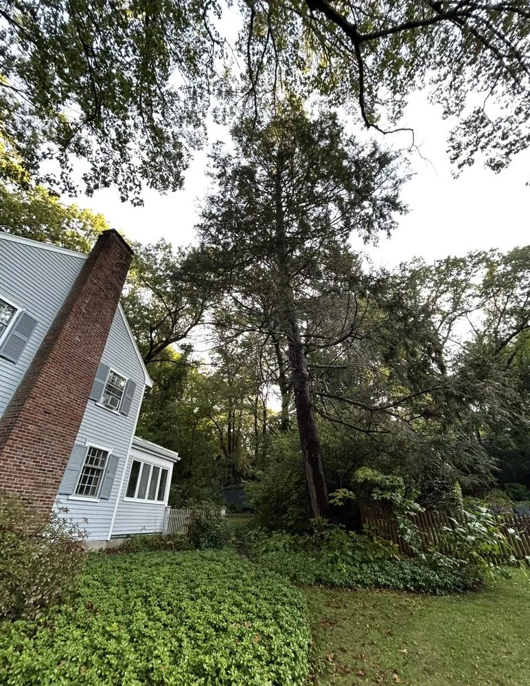 Affordable residential landscaping in Lynn, MA by Roel Tree Services