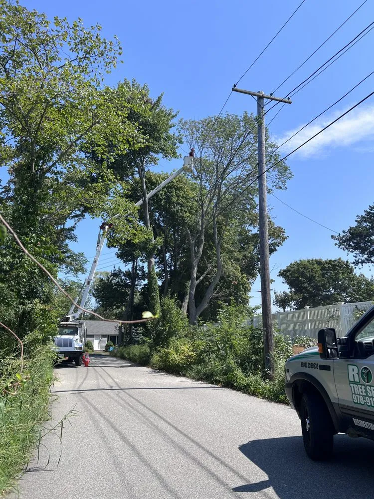 Top-rated outdoor landscaping in Lynn, MA by Roel Tree Services